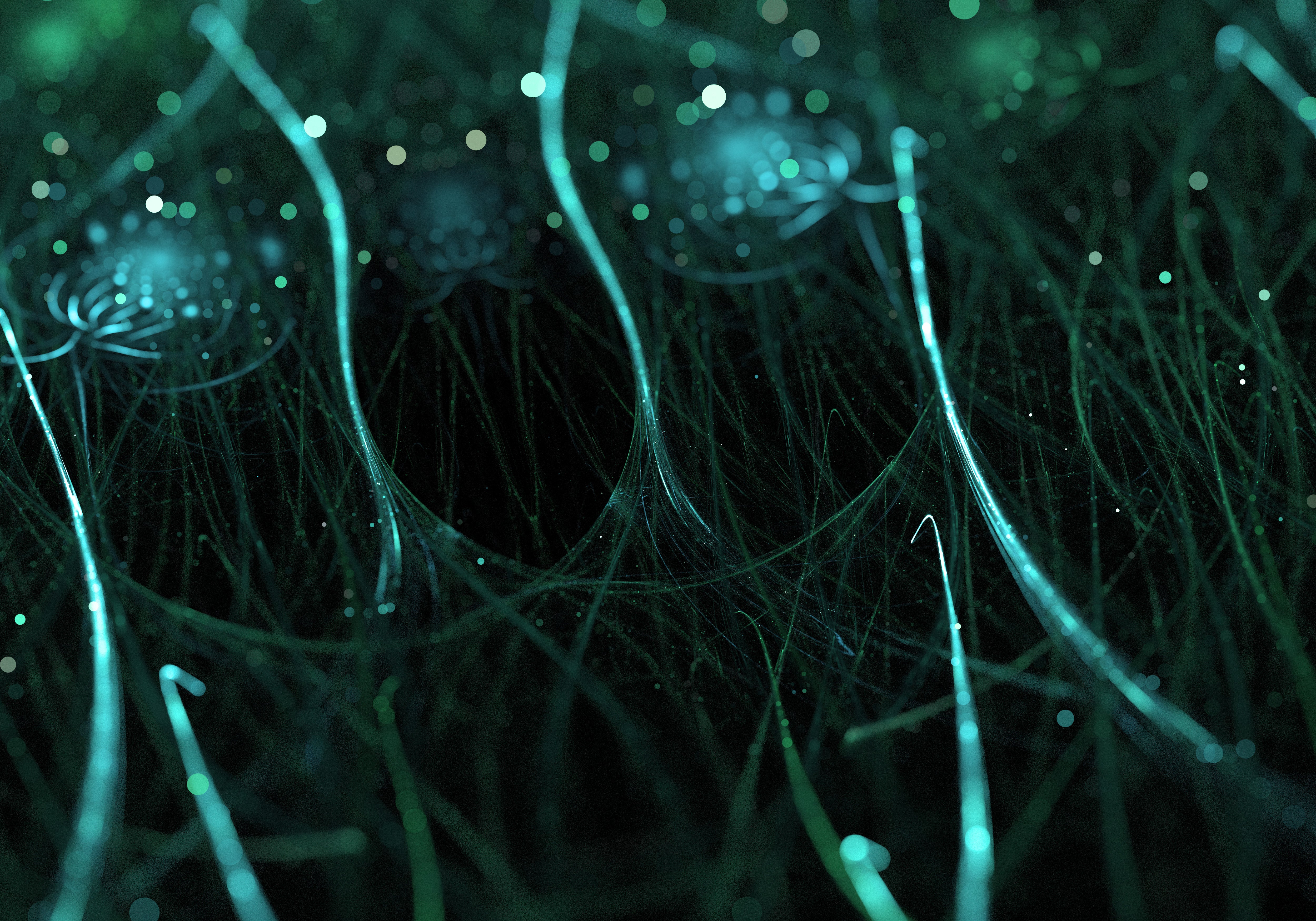 Nano Glass Screen Protectors: Unveiling the Next Frontier of Mobile De ...